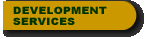 Development Services